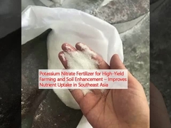 Fertilizzante al nitrato di potassio per l'agricoltura ad alto rendimento e il miglioramento del suolo